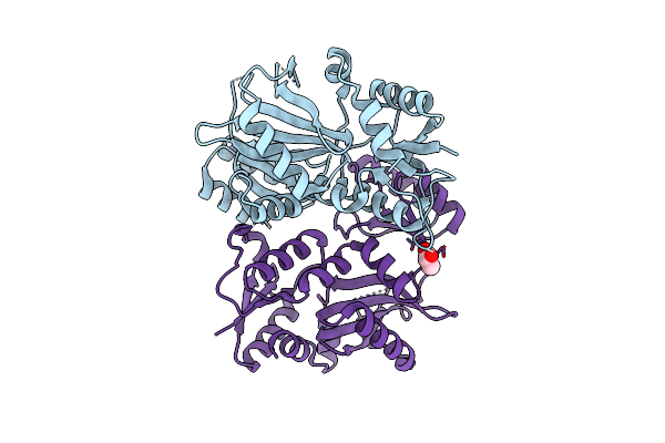 5I47 image