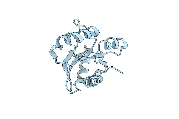 5I4C image