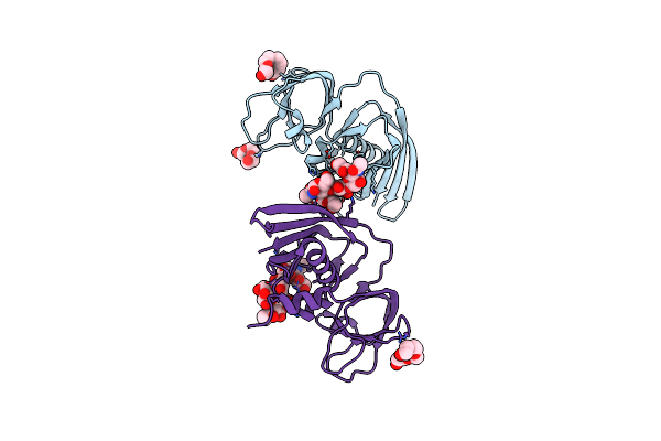 5I4D image