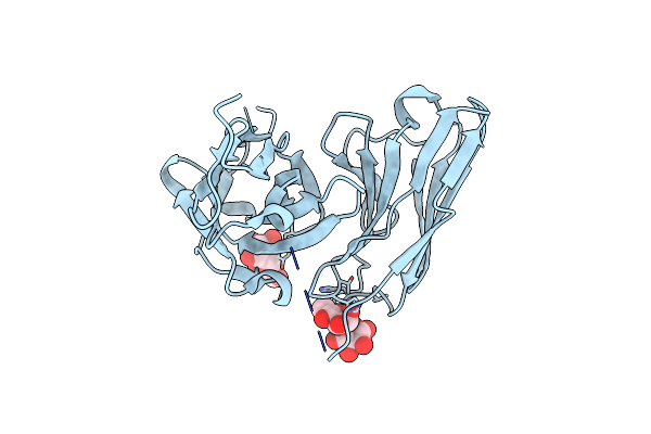 5I4F image