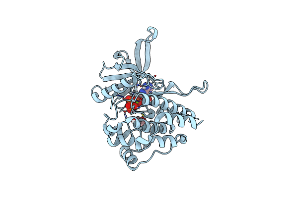 5I4N image