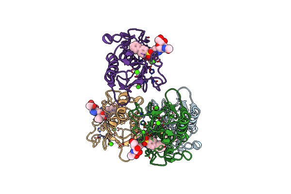 5I4O image