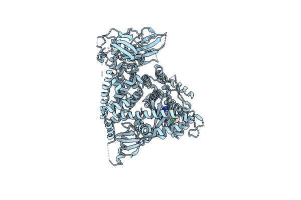 5I4U image