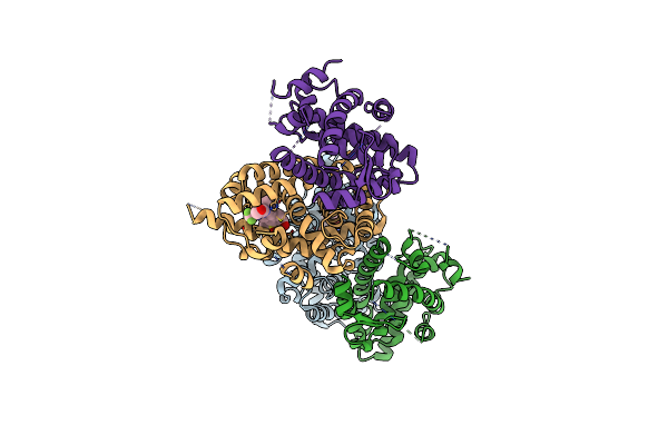 5I4V image