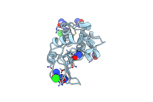 5I4X image