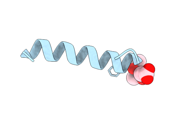 5I55 image