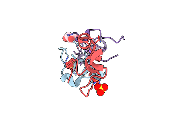 5I5C image