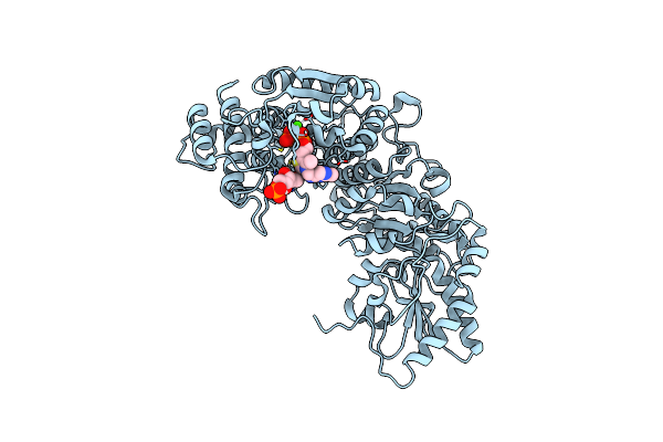 5I5E image