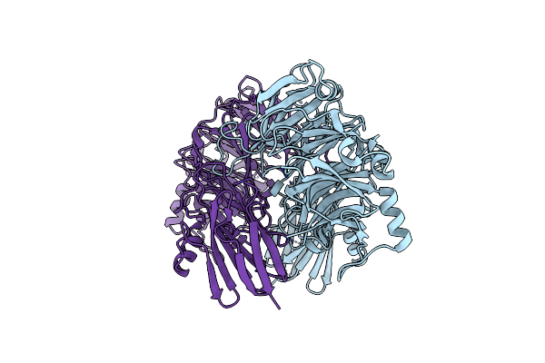 5I5I image