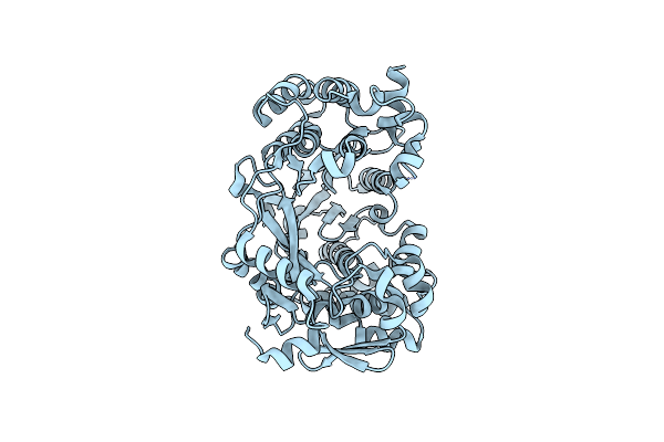 5I62 image