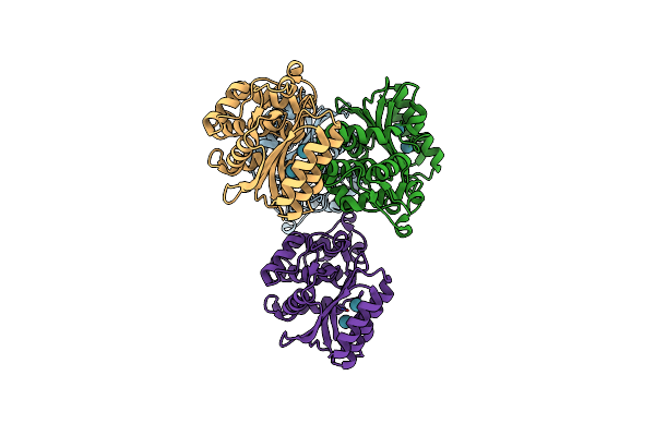 5I63 image