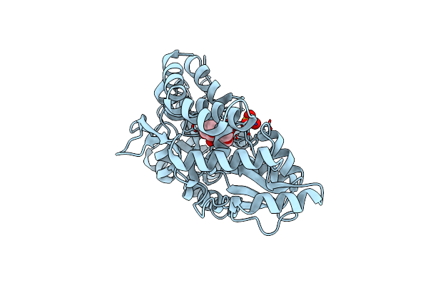 5I69 image
