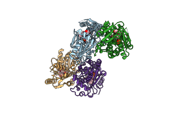 5I6D image