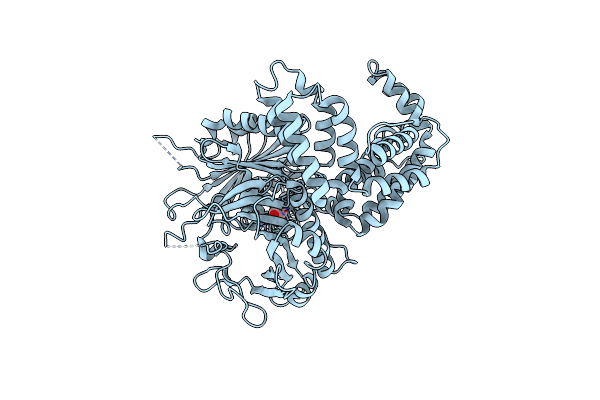5I6E image