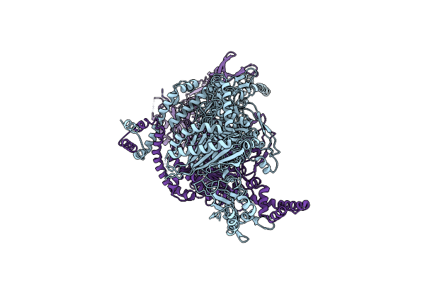 5I6F image