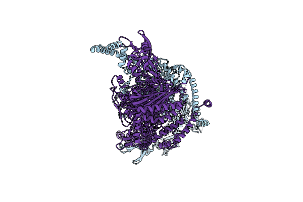 5I6G image