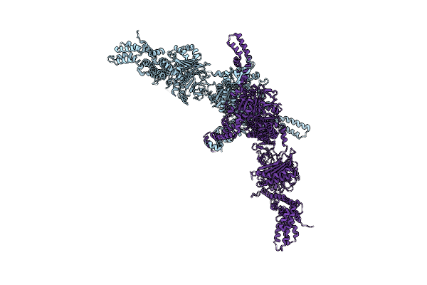 5I6H image