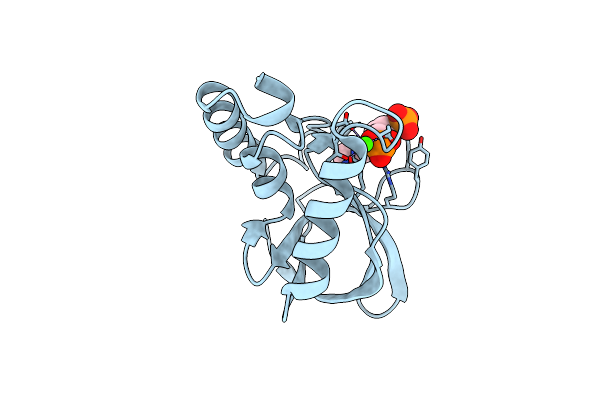 5I6W image
