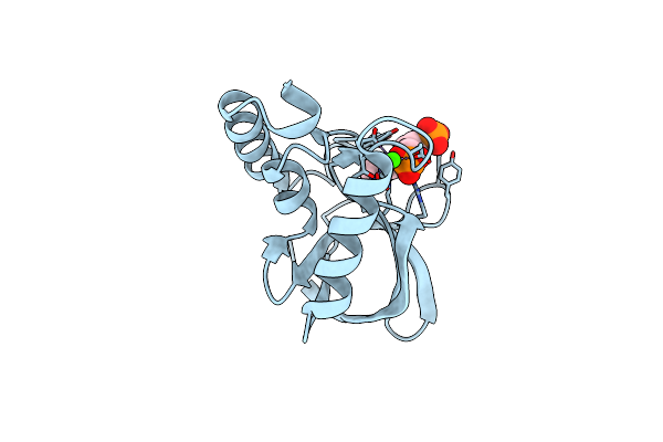 5I6Y image