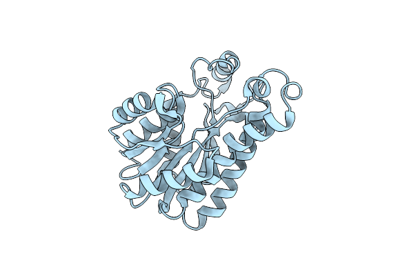5I7E image
