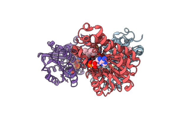 5I7V image