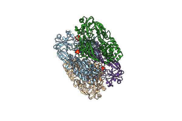 5I82 image