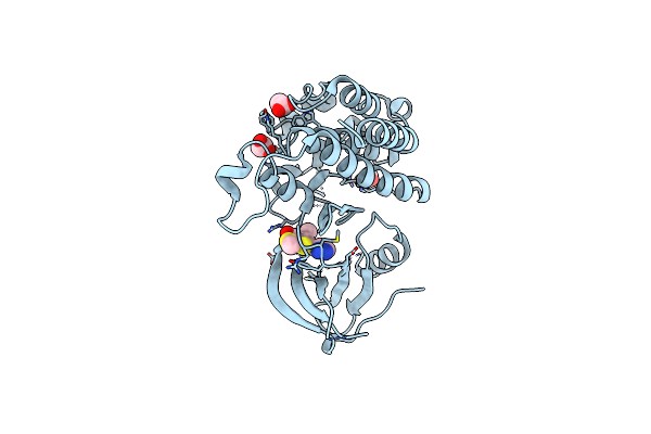 5I8A image