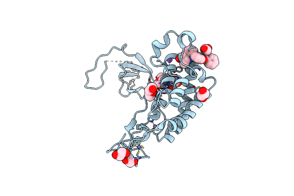 5I8B image
