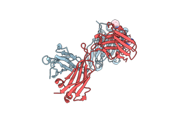 5I8C image