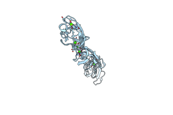 5I8D image