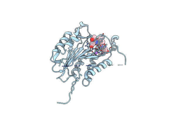 5I9B image