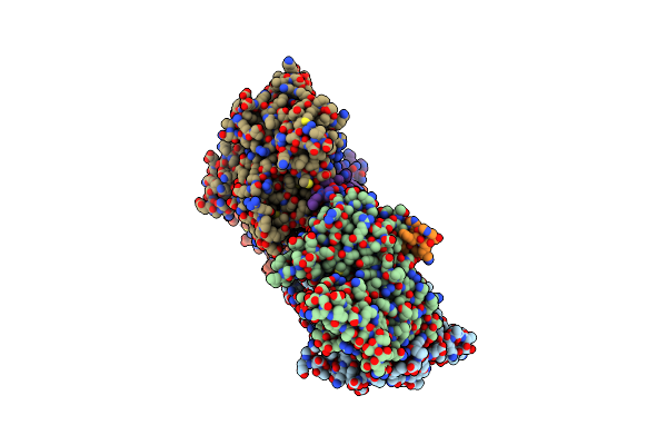 5I9E image