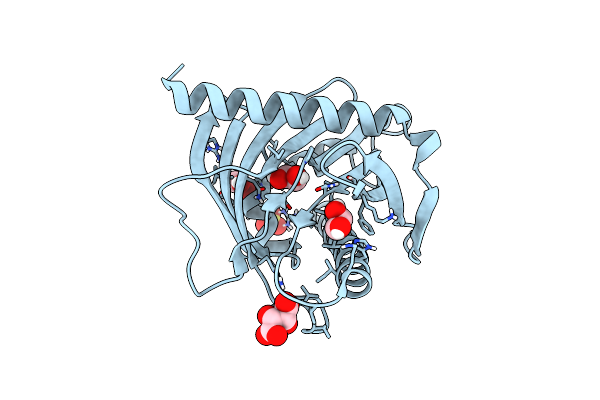 5I9J image