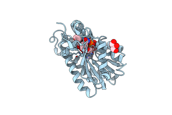 5I9L image