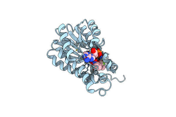 5I9N image