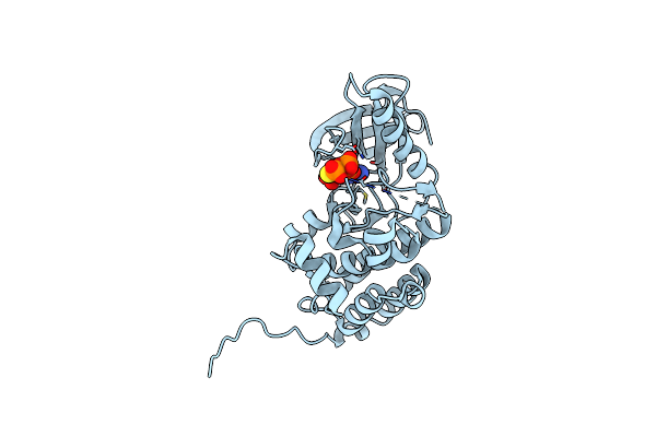 5I9V image