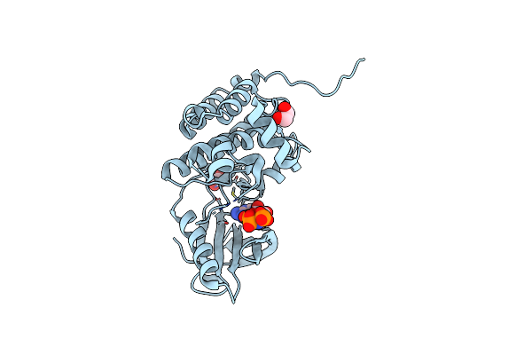 5I9W image