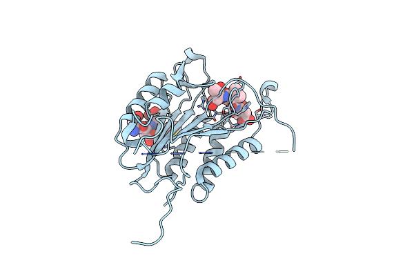 5IAG image
