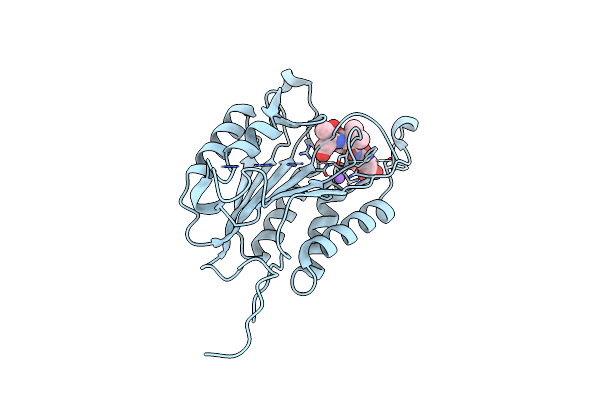 5IAJ image