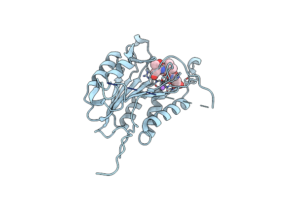 5IAK image