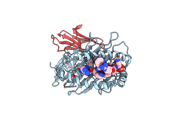 5IB3 image