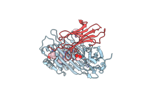 5IB4 image