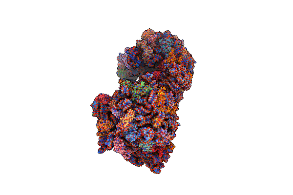 5IB7 image
