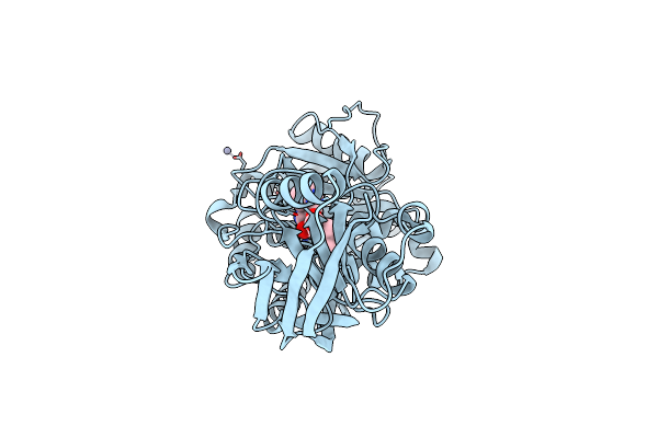 5IB9 image
