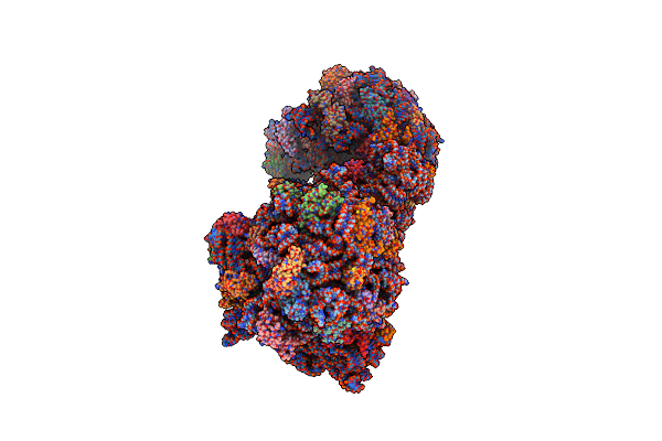 5IBB image