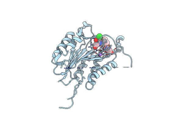 5IBC image