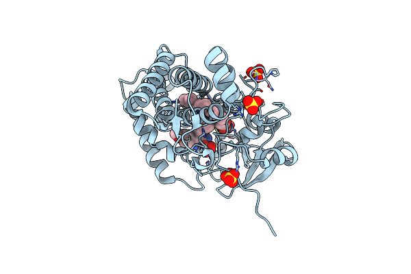 5IBD image