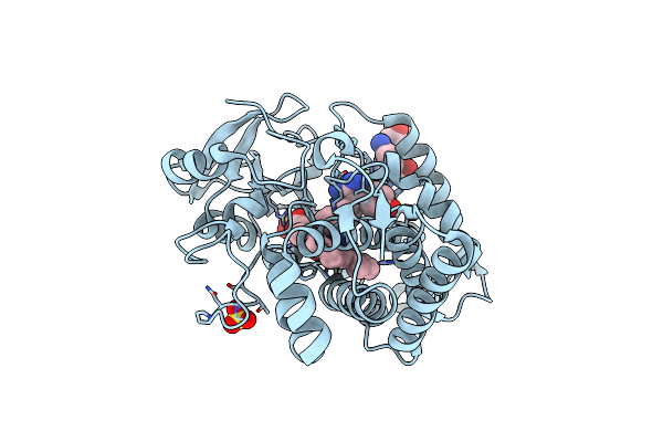 5IBG image