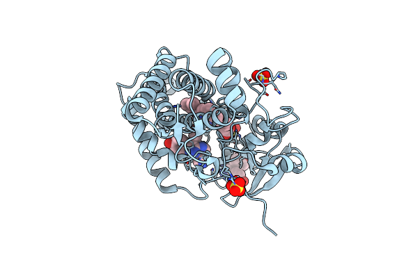 5IBH image