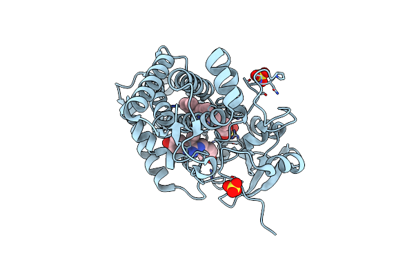 5IBI image